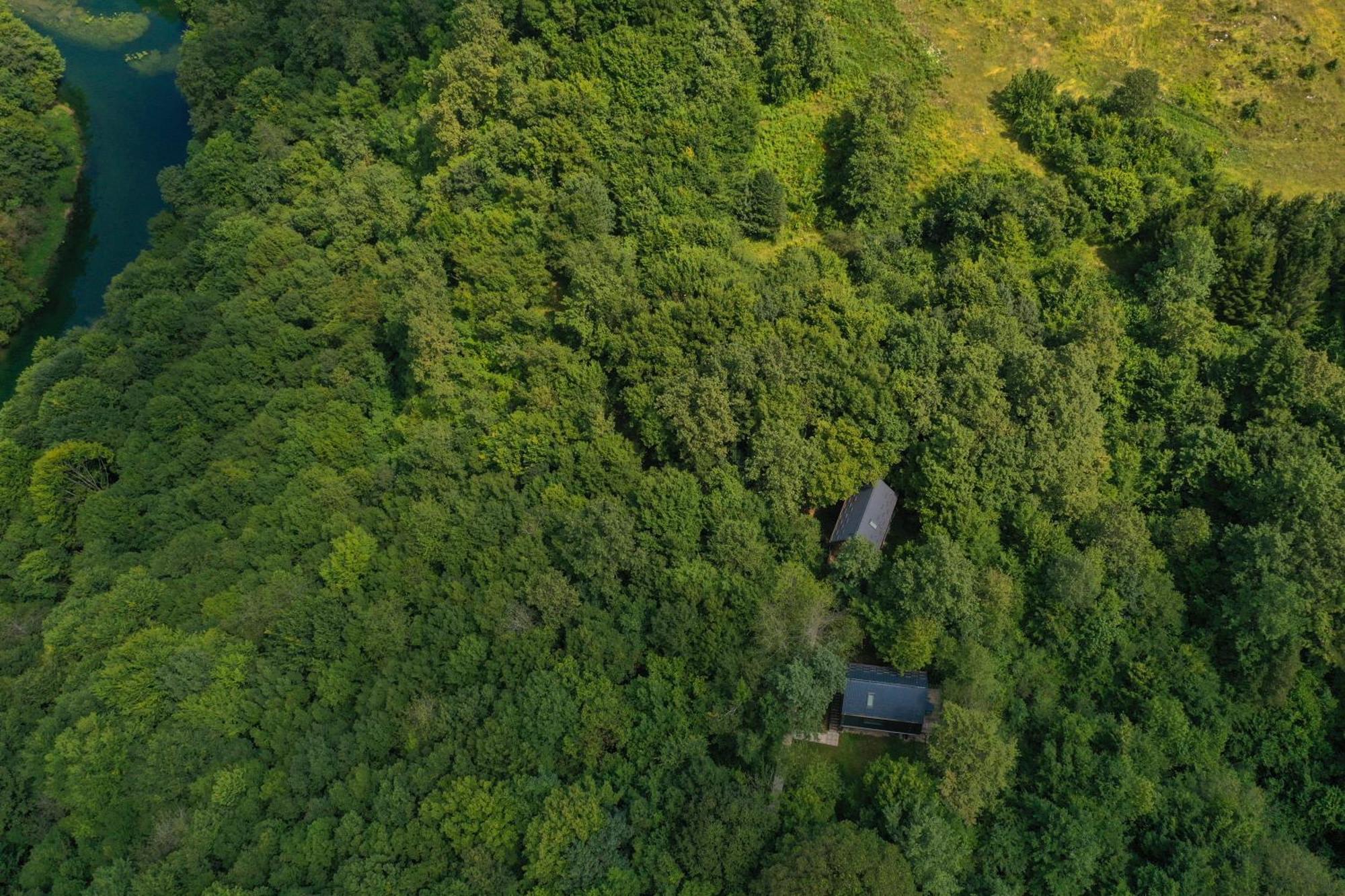 斯诺基Tree Elements Treehouse Retreat公寓 外观 照片