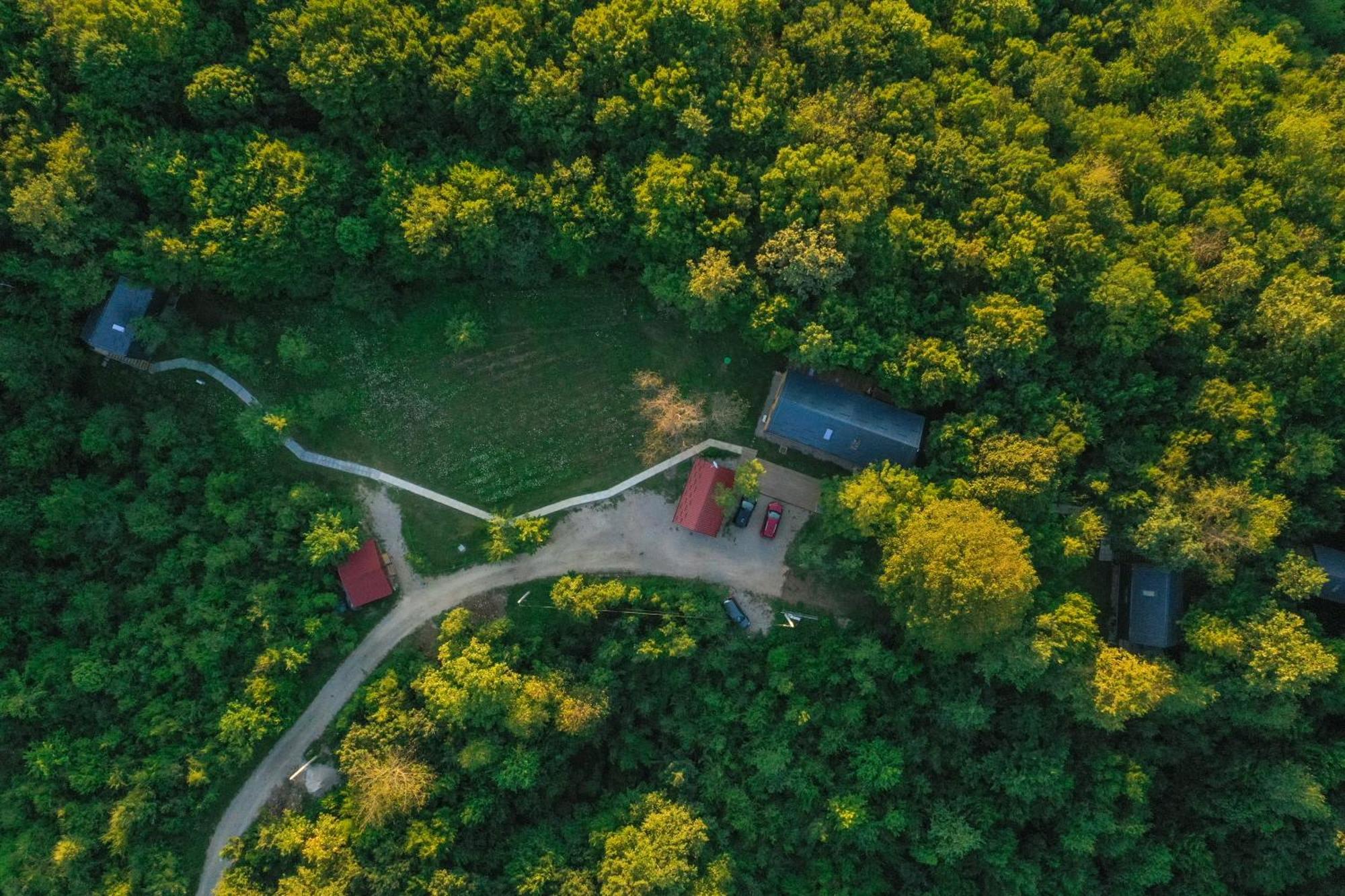 斯诺基Tree Elements Treehouse Retreat公寓 客房 照片