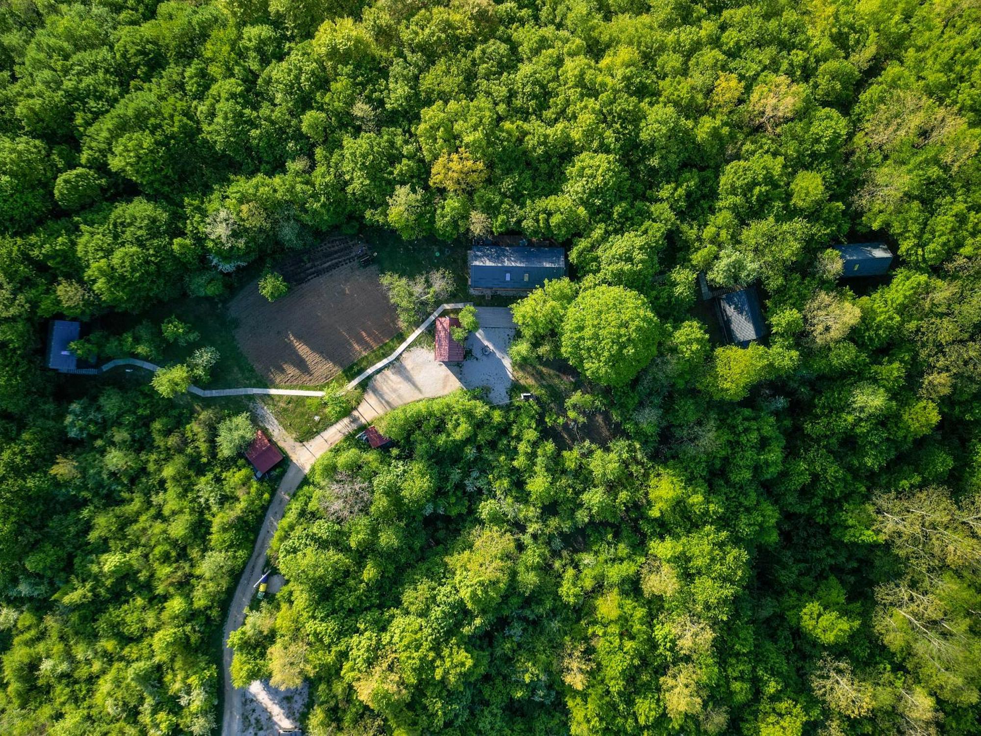 斯诺基Tree Elements Treehouse Retreat公寓 外观 照片